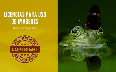 Licencias para Uso de Imágenes